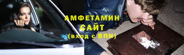 индика Зеленодольск